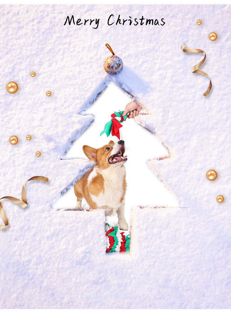 TOP 10 Pet Supplies for Your Dog or Cat for the Christmas Holidays