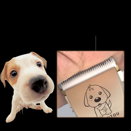 best dog clippers for thick hair