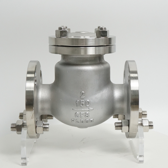 CF8 non return valve  