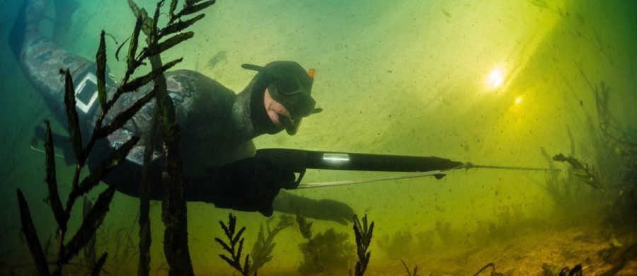 How to Choose the Best Dive Flashlight for spearfishing