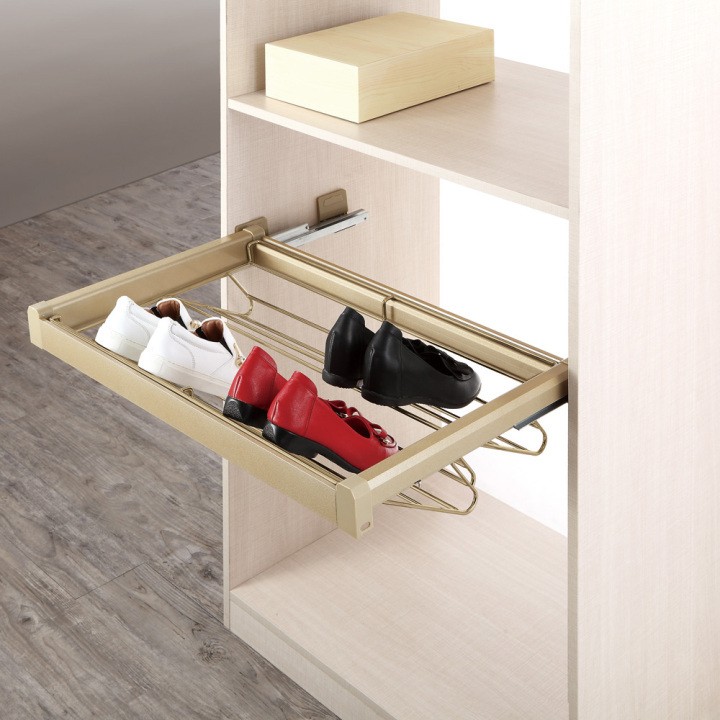 pull-out shoe rack