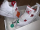 the shoes are fire you're the best !!!
