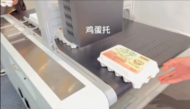 Molded Pulp Lunch Box Egg Trays Digital Printer