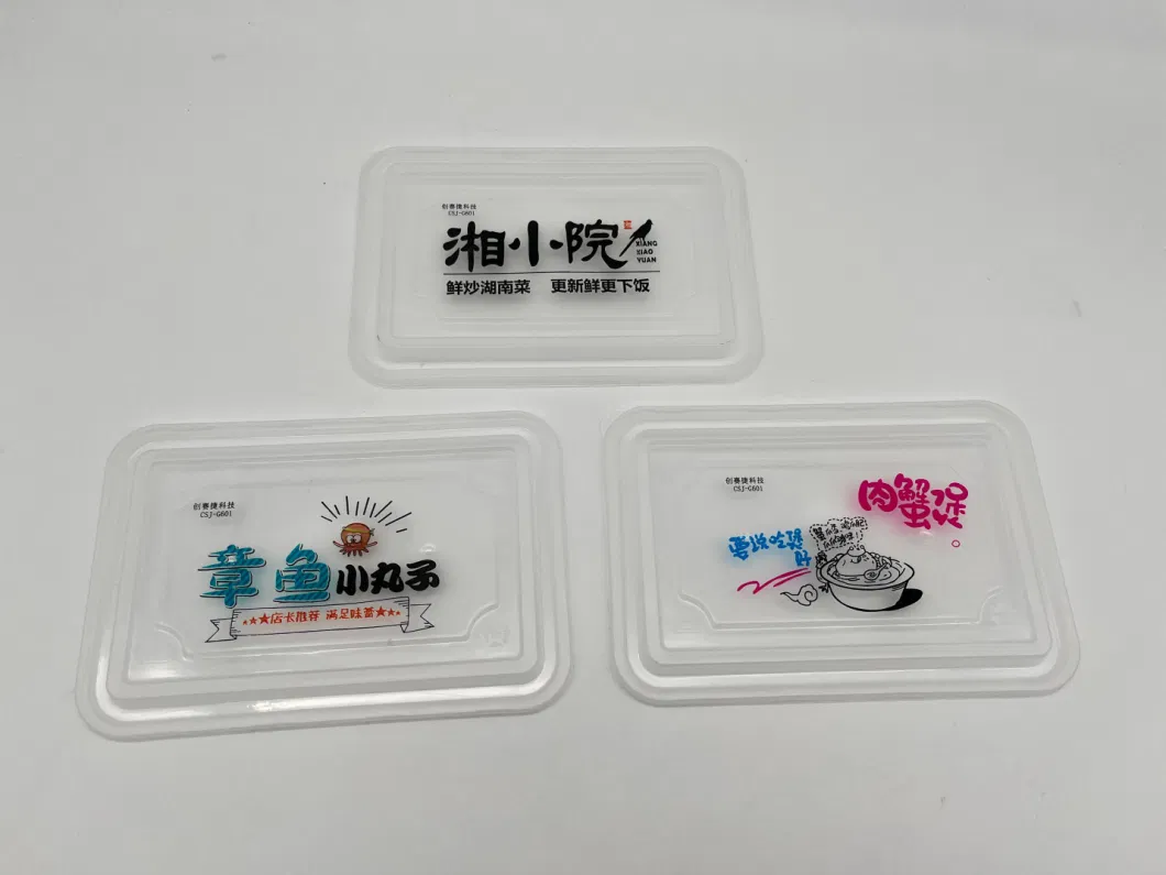 Disposable Meal Box Takeaway Packing Box Custom Logo UV Printing Machine