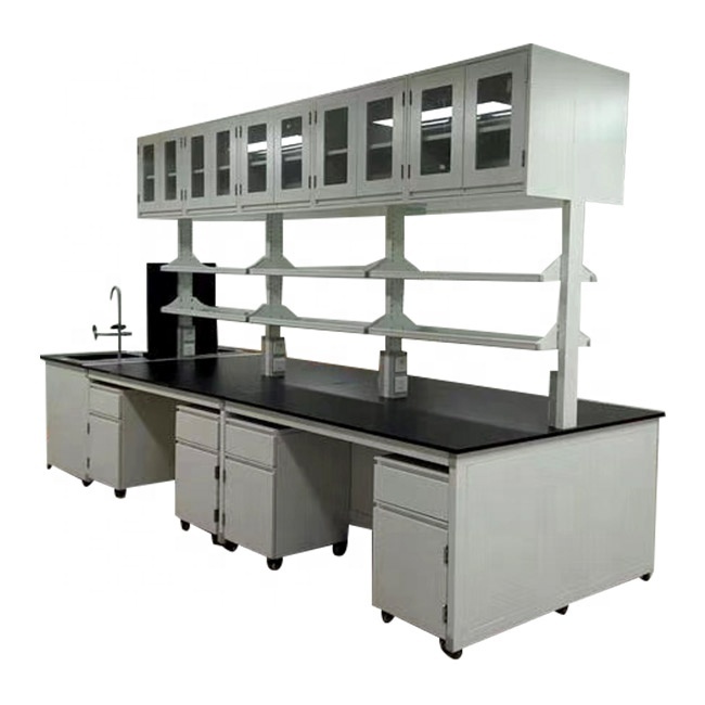 Epoxy Coated Steel Frame And Wood Laboratory Worktable With Lab PP Sink 