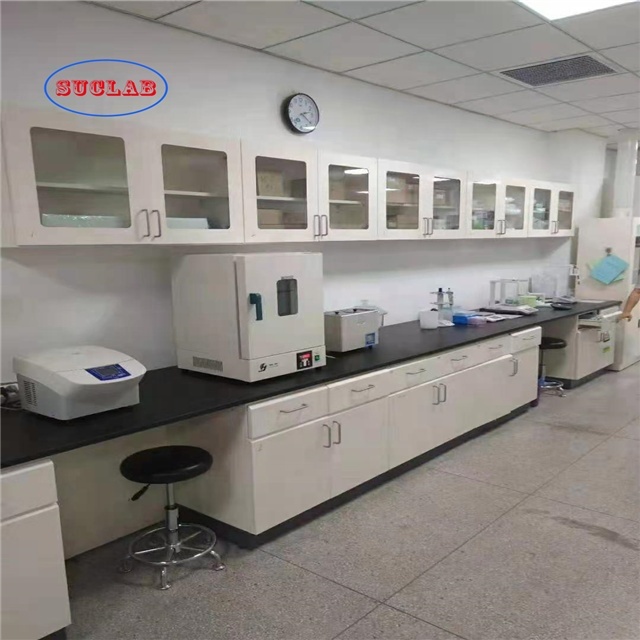 Strongest Acid and Alkali Resistant Steel Lab Side Casework With Wall Cabinet For College & Hospital Lab 