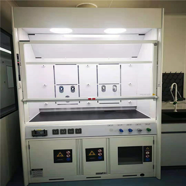 Professional Customized Manufacture European and American standard Fume Hoods Laboratory Bench Equipments