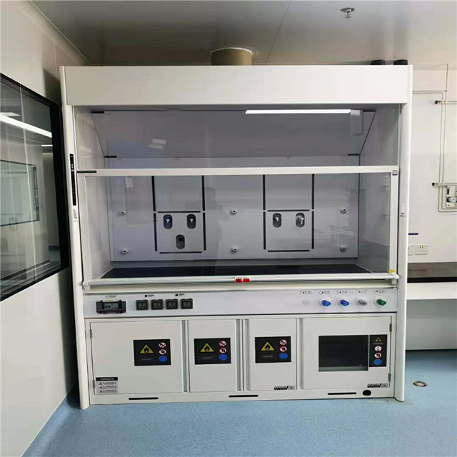 Professional Customized Manufacture European and American standard Fume Hoods Laboratory Bench Equipments