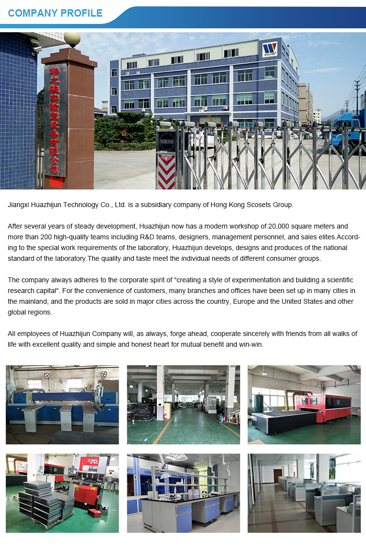 Professional Customized Manufacture European and American standard Fume  Hoods Laboratory Bench  Equipments 