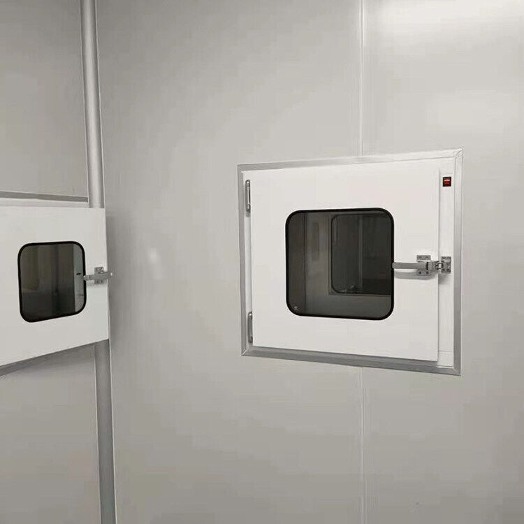 High end Dynamic Pass Box with Laminar Air flow Pass Box for Clean Room Usage