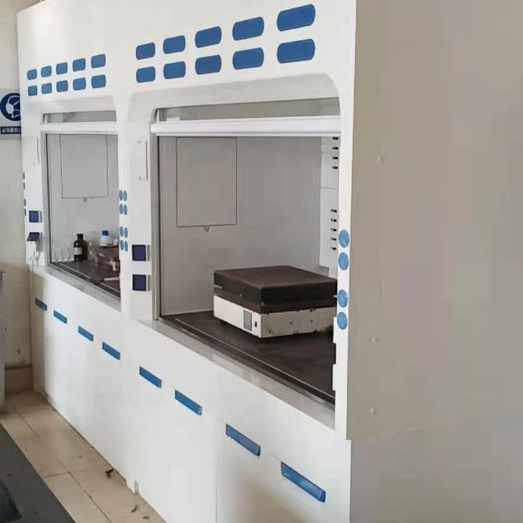 High Temperature Resistance FRP Lab Fume Cupboard FRP Fume Cupboard Manufacturer 