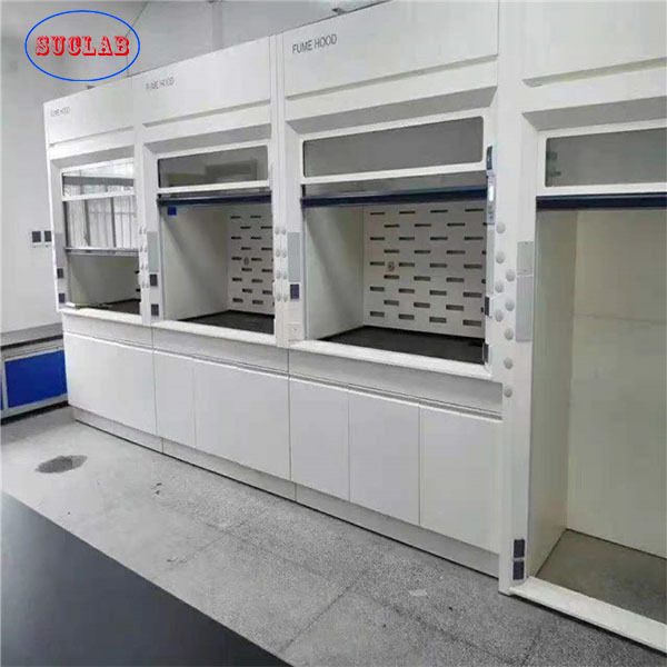 High Quality Factory Epoxy Coated Steel Chemical Resistance Ducted Lab Fume Cupboards For Sale High Quality Factory Epoxy Coated Steel Chemical Resistance Ducted Lab Fume Cupboards For Sale