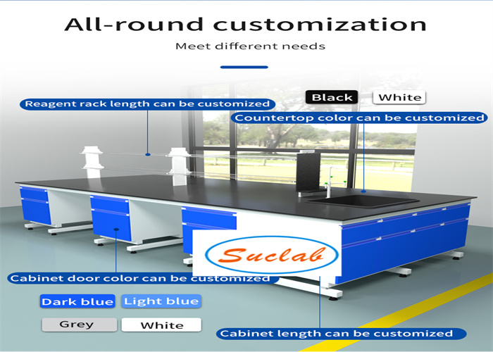 Customized Made Corrosion Resistance and Acid Alkali Resistance Lab Casework For School & Hospital  Laboratory  Customized Made Corrosion Resistance and Acid Alkali Resistance Lab Casework For School & Hospital  Laboratory 