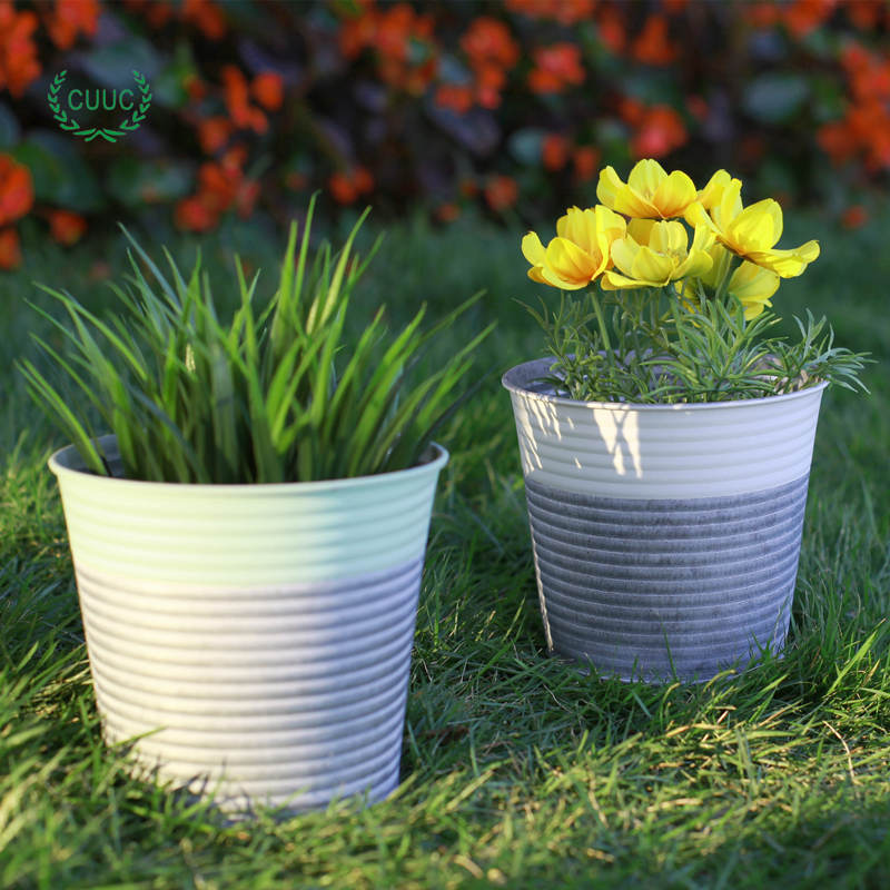 Powder Coated Embossed Galvanized Pots in Color