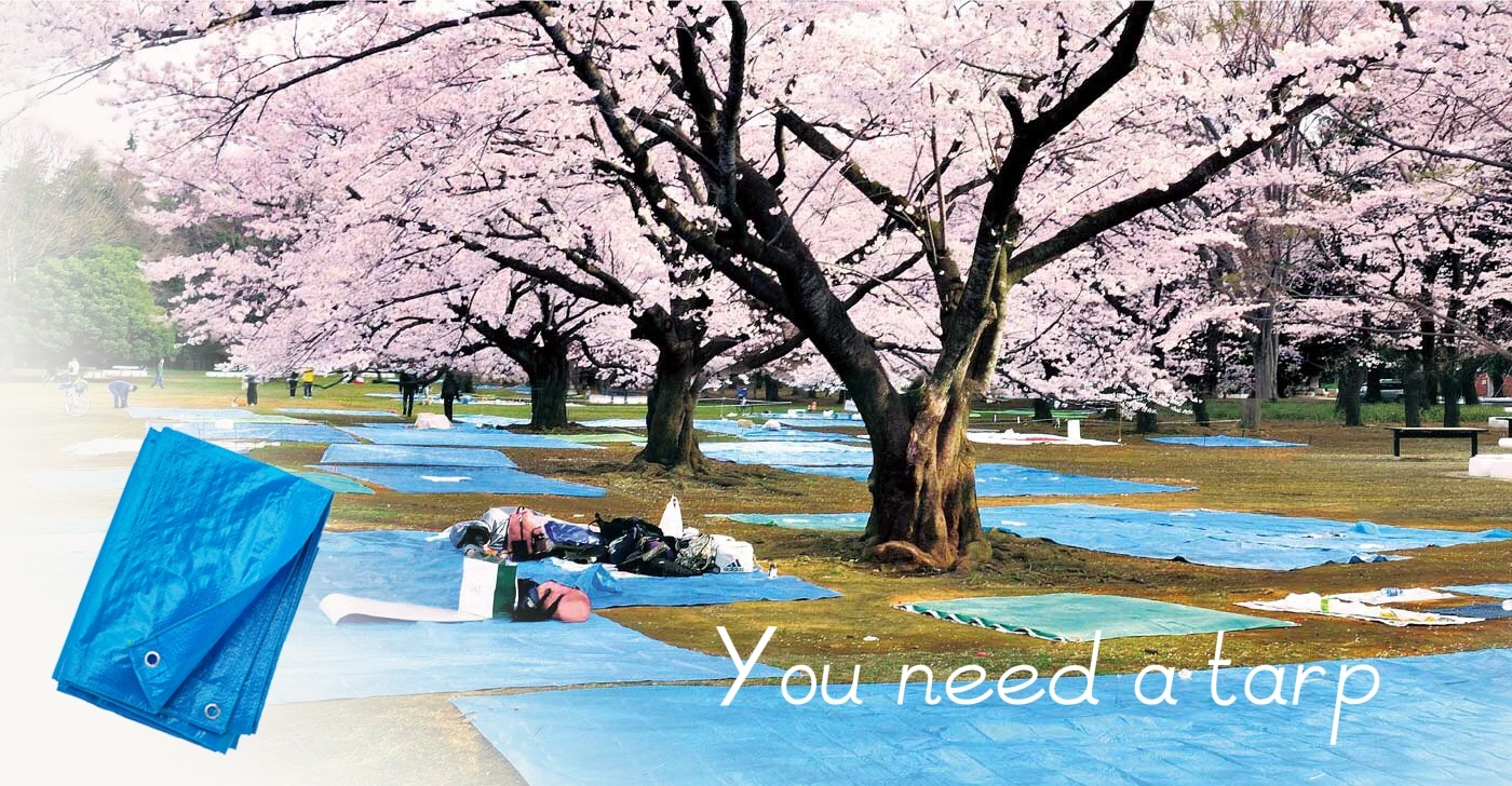 Ground cover protection Tarpaulin PEPE Tarpaulin waterproof poly tarp