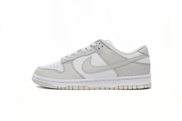 dunk low photon dust