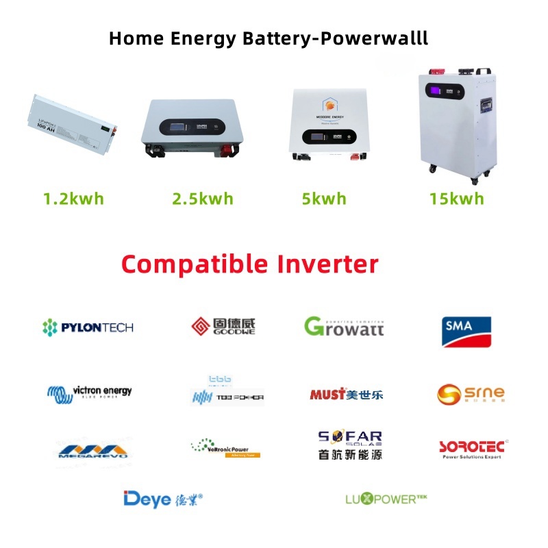 5kwh LiFePO4 Storage Solar 48V 100ah Powerwall for Home Energy Storage/Solar Energy Storage