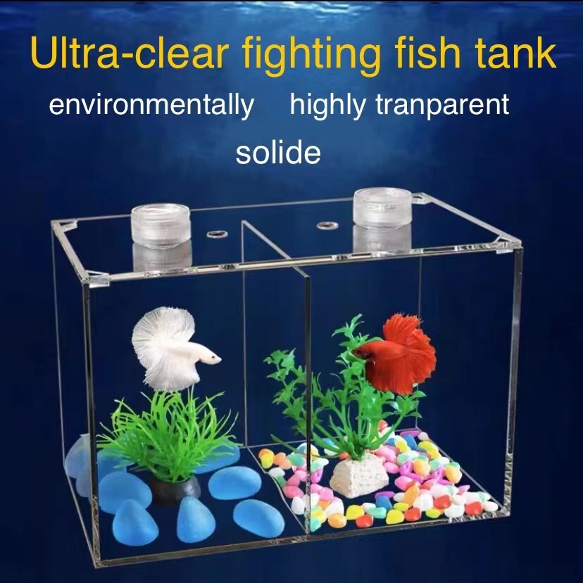 Acrylic fight fish tank