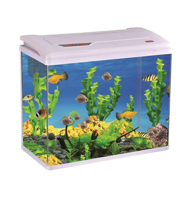 Easy Maintenance, Clean & Clear Water Fish Tank Mini Portable Fish Tank