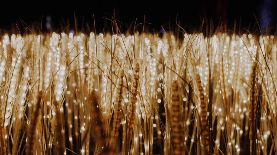 Discover the Advantages of Aluminium Strip Light Channels for LED Installations