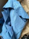Bluie