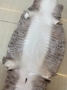 Himalaya white glossy