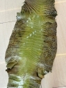 HiHimalaya olive green glossy