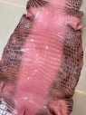 Himalaya pink glossy