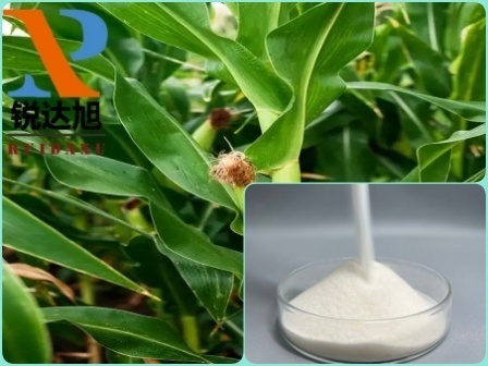 The application of calcium formate （CAF）in agriculture