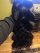 The hair fit the description! Very soft, fits my head just right. It’s definitely worth how much I paid. I definitely would buy this hair again! And great communication through the whole process. It only took 4 days! 