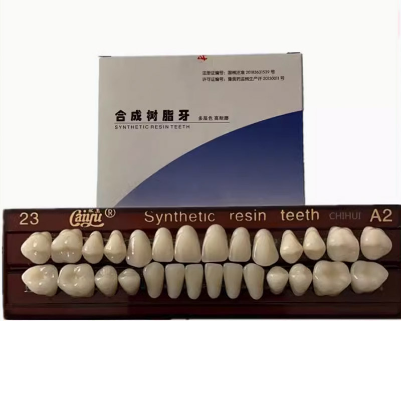 Synthetic resin teeth Resin teeth 10sets/box