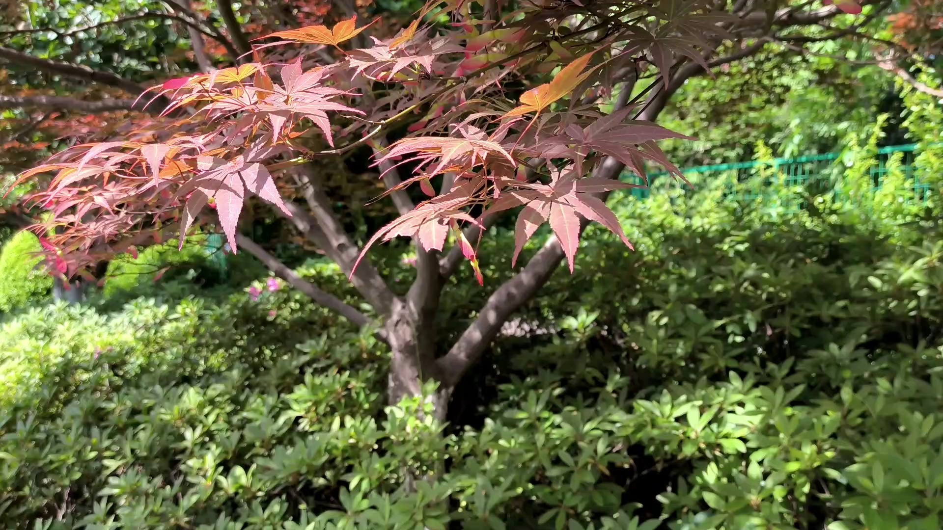 Floral Pattern Print Polyurethane PU Coated Safety Work Gloves-DPU512 Floral Pattern Print Polyurethane PU Coated Safety Work Gloves-DPU512 gloves,polyurethane gloves,anti static gloves,Floral Pattern gloves,safety gloves