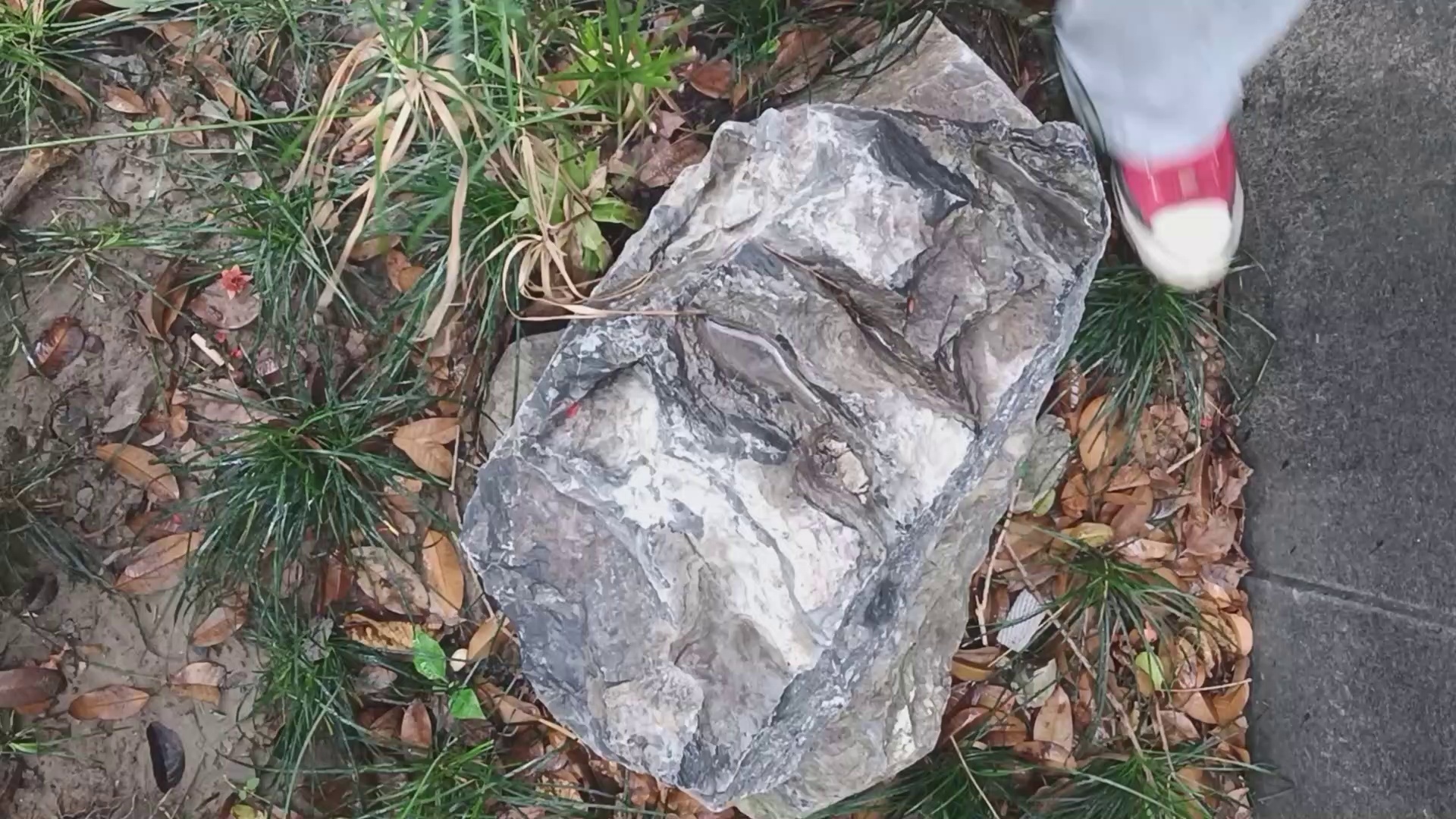 Cow Mens Leather Welder Gloves - DLW620 Cow Mens Leather Welder Gloves - DLW620 gloves,leather gloves,mens leather gloves,welder glove,leather welder gloves