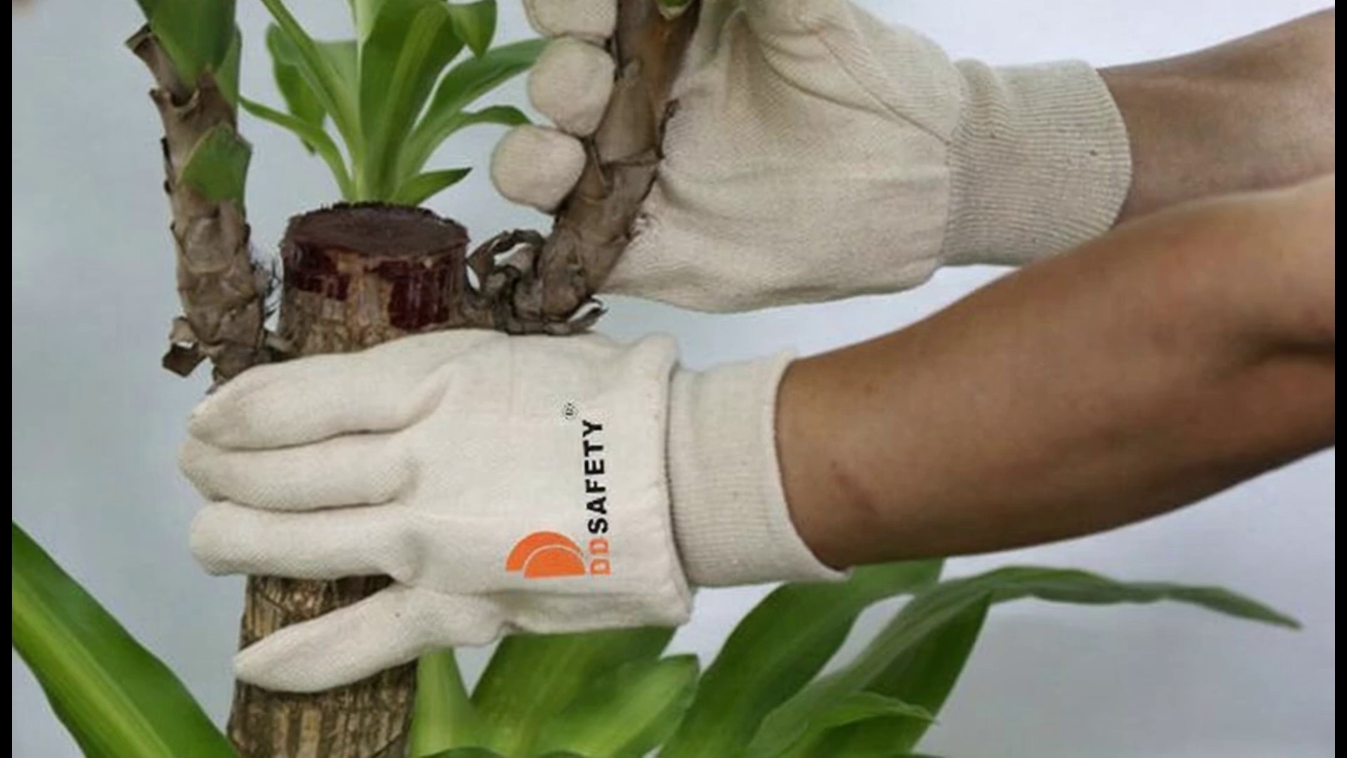Men's Brown Jersey Knit General Purpose Work Gloves,  Lightweight, Comfort, Knit Wrist, Straight Thumb Design,  Reusable, Washable, Unisex Work Gloves - DCD108 Men's Brown Jersey Knit General Purpose Work Gloves,  Lightweight, Comfort, Knit Wrist, Straight Thumb Design,  Reusable, Washable, Unisex Work Gloves - DCD108 gloves,cotton gloves,jersey gloves,work gloves