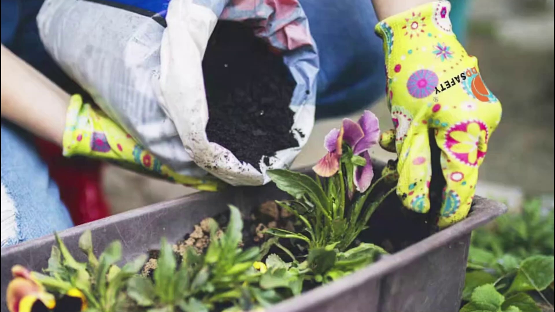 Floral Pattern Garden Gloves for Women, Breathable Nitrile Coated Gardening Work Gloves for Lady - DNN355 Floral Pattern Garden Gloves for Women, Breathable Nitrile Coated Gardening Work Gloves for Lady - DNN355 gloves,nitrile gloves,nitrile coated gloves,Floral Pattern gloves,garden gloves,floral gloves,breathable gloves,Green flower design gloves