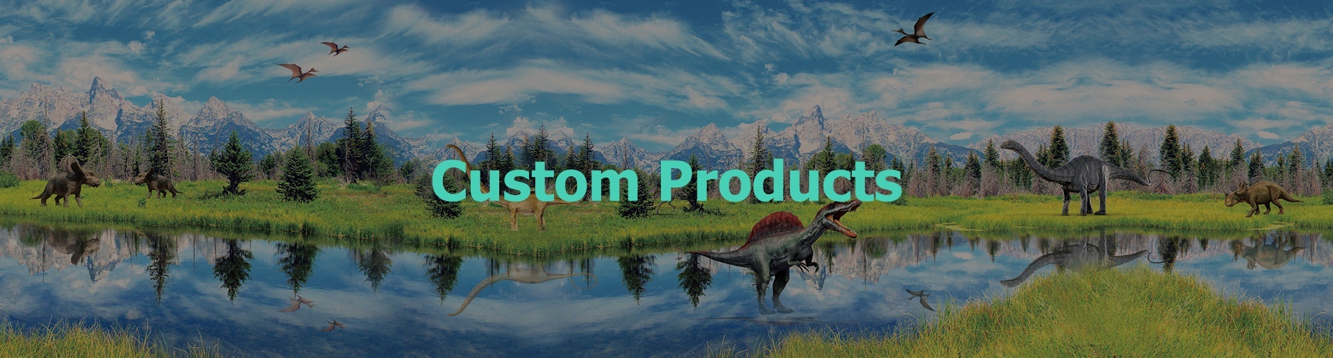 Custom Products