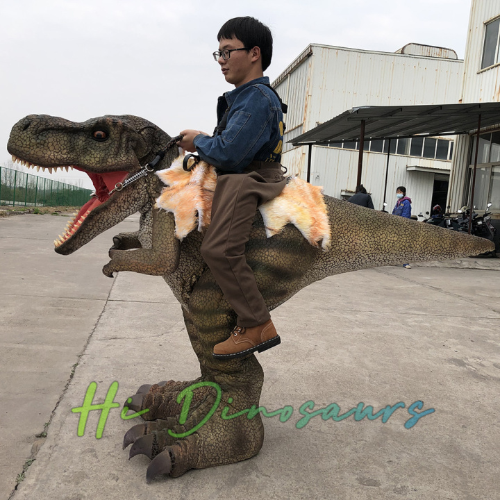 Dinosaur Costume main image 1