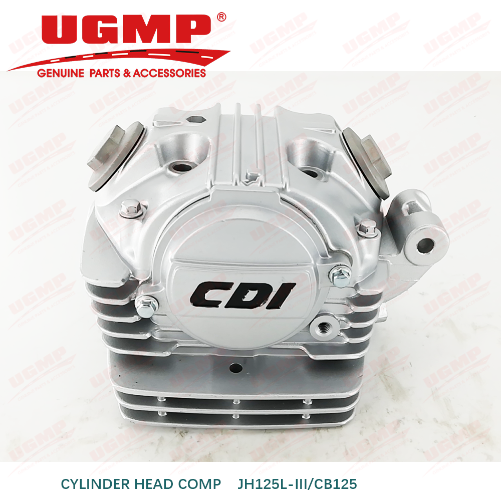 CYLINDER HEAD COMPLETE HONDA CB125 XL125 JIALING JH125L HAOJUE HJ125