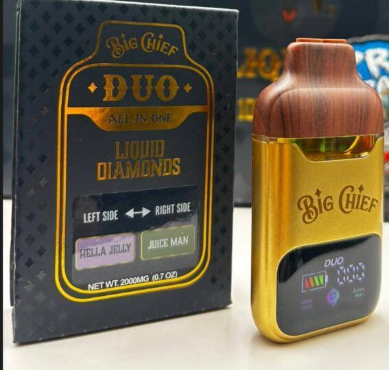 From Users to Performance An In-Depth Review of the Big Chief DUO Disposable