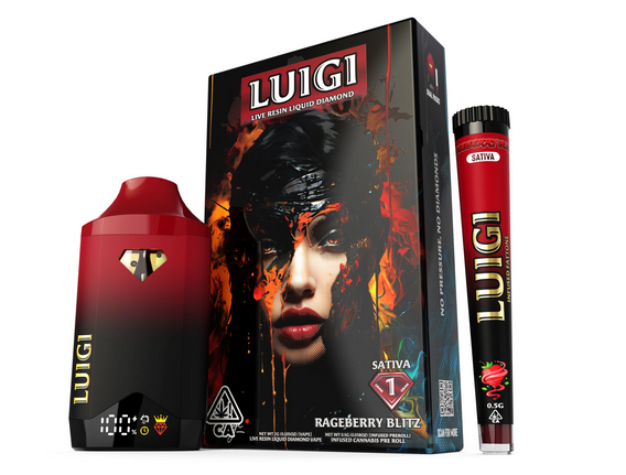 LUIGI V9 DISPOSABLE 2G Empty Vape Hardware QC Checklist for Wholesale Buyers
