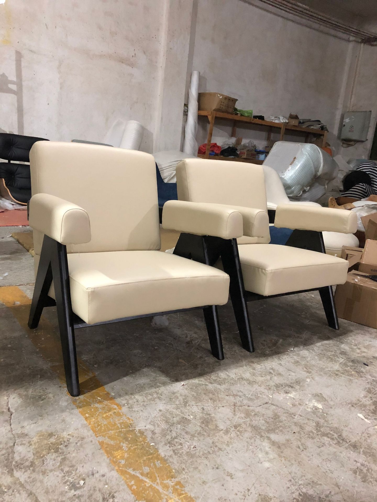 DF1818 luxury modern design leisure chair  