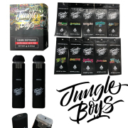 Newest Jungle boys Disposable Vape Pen Cartridge Rechargeable 320mah Vaporizer Empty 1.0ml Cart with Package Box