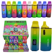 2025 USA Stock Melt Packman V2 New Edition 10 Flavors Disposble Box Packagings Empty Vape