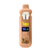 2g USA UK WU Wholesale Vaporizer Preheat Function Voltage Adjustable Disposable Vape