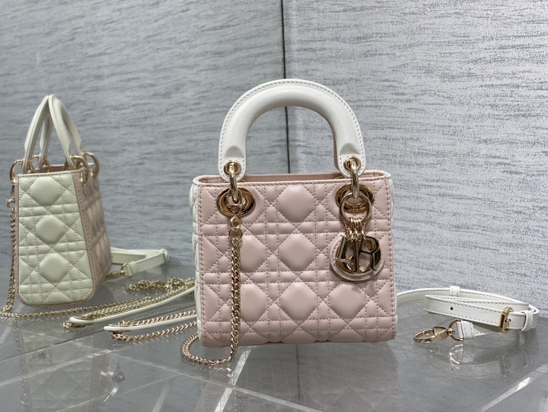 Dior 6603 mini bags