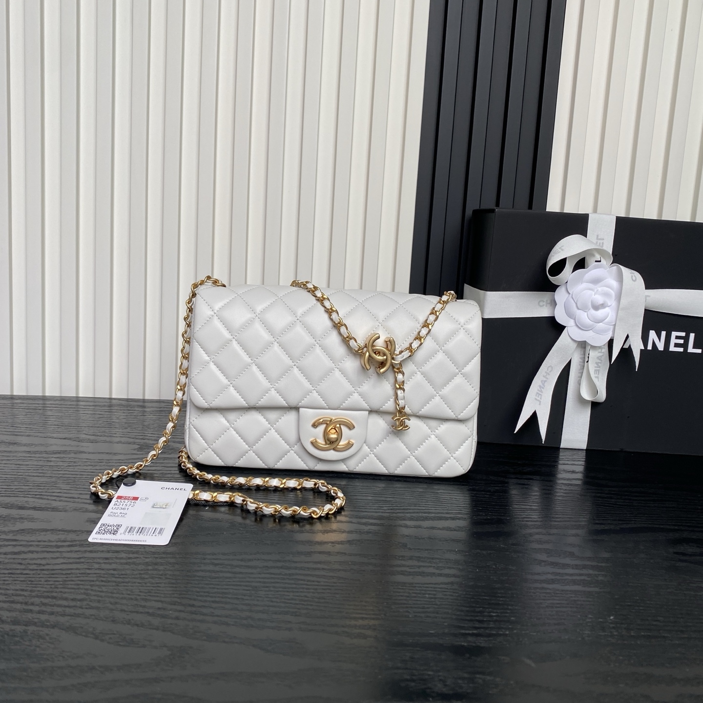 Chanel AS5756 CF bags