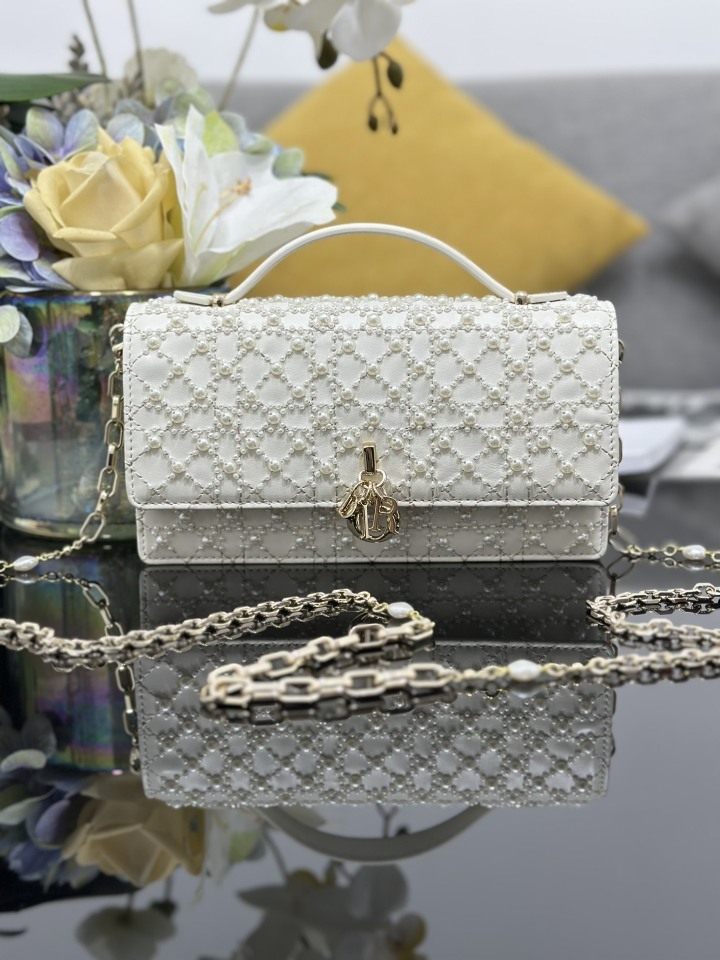 Dior MISS DIOR M0997 bags