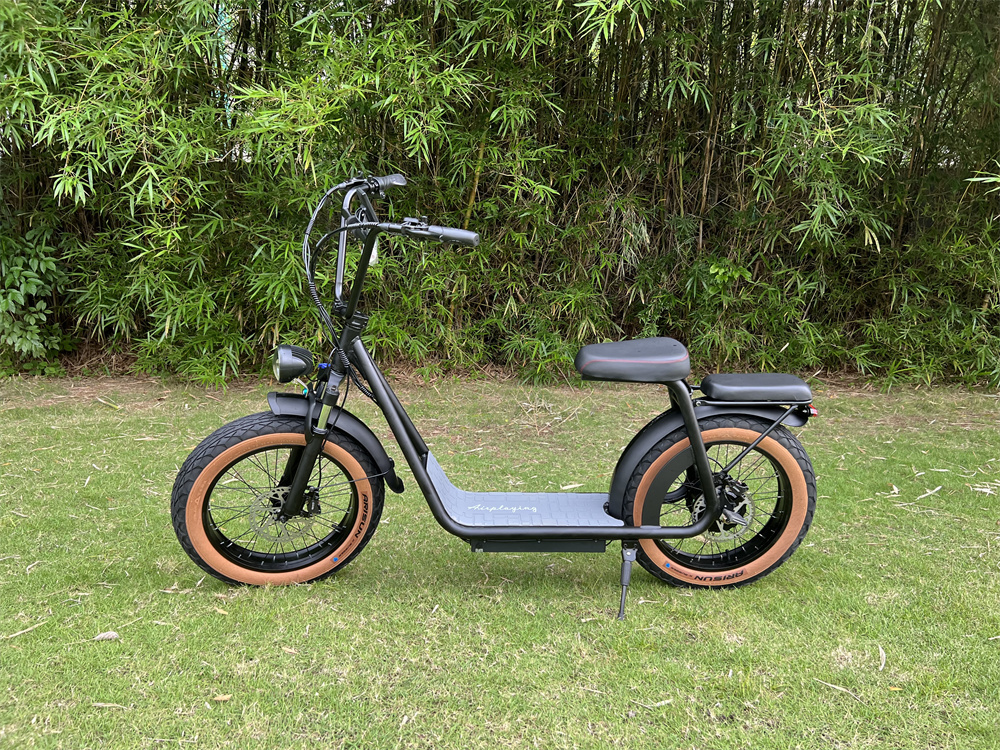 OEM Order Electric Scooter Manufacture price  