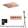 Rose Gold - Phone App Control Led Light