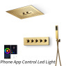 Gold - Phone App Control Led Light